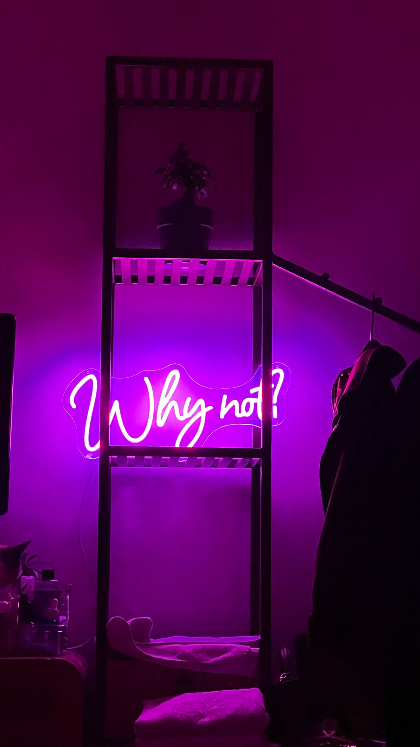 Лед надвеска с надписью «Why not?”