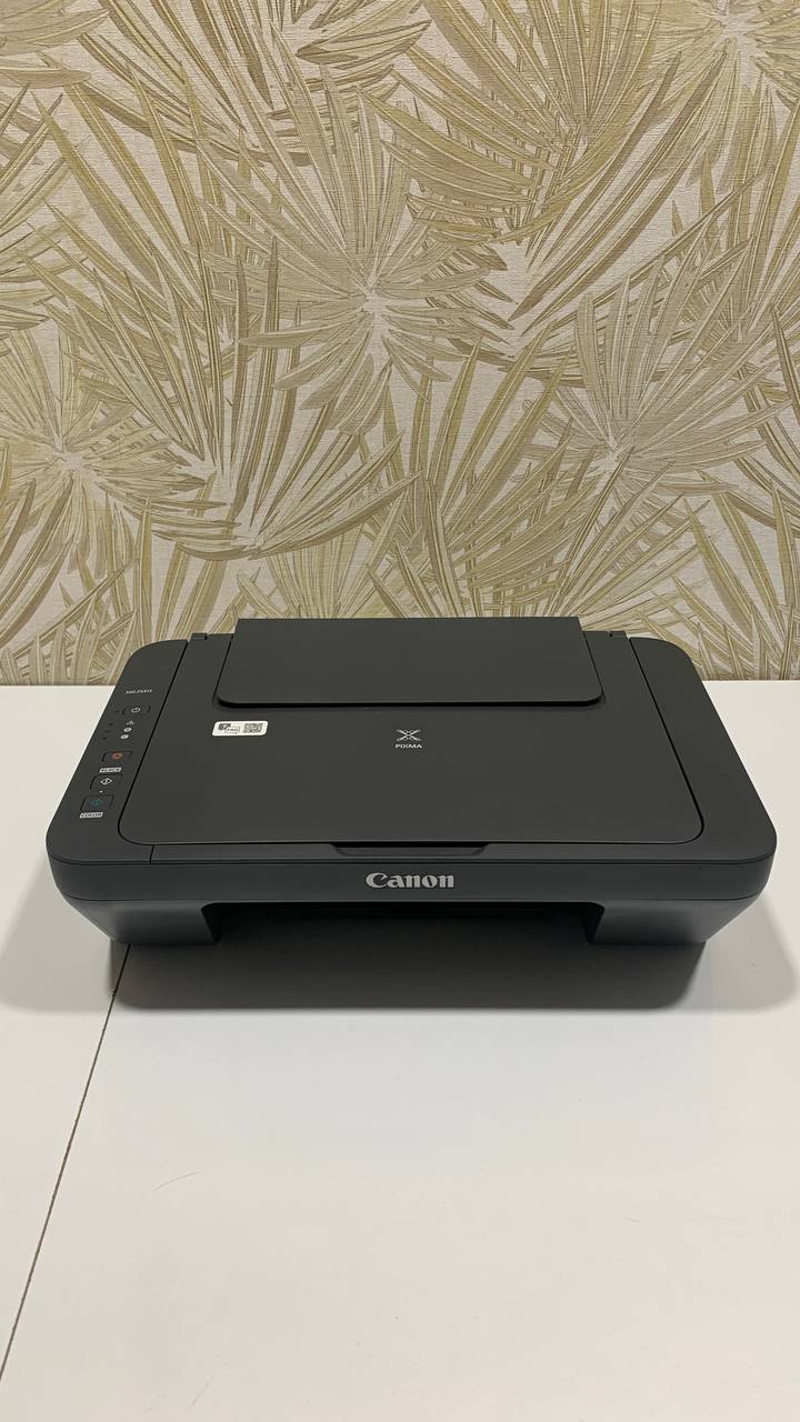 Принтер mg2541s Canon