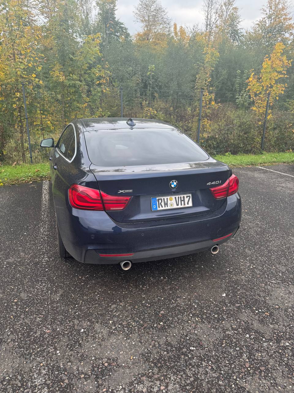 Ласточка из Германии