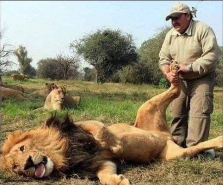 Классический массаж с базальтовыми камнями