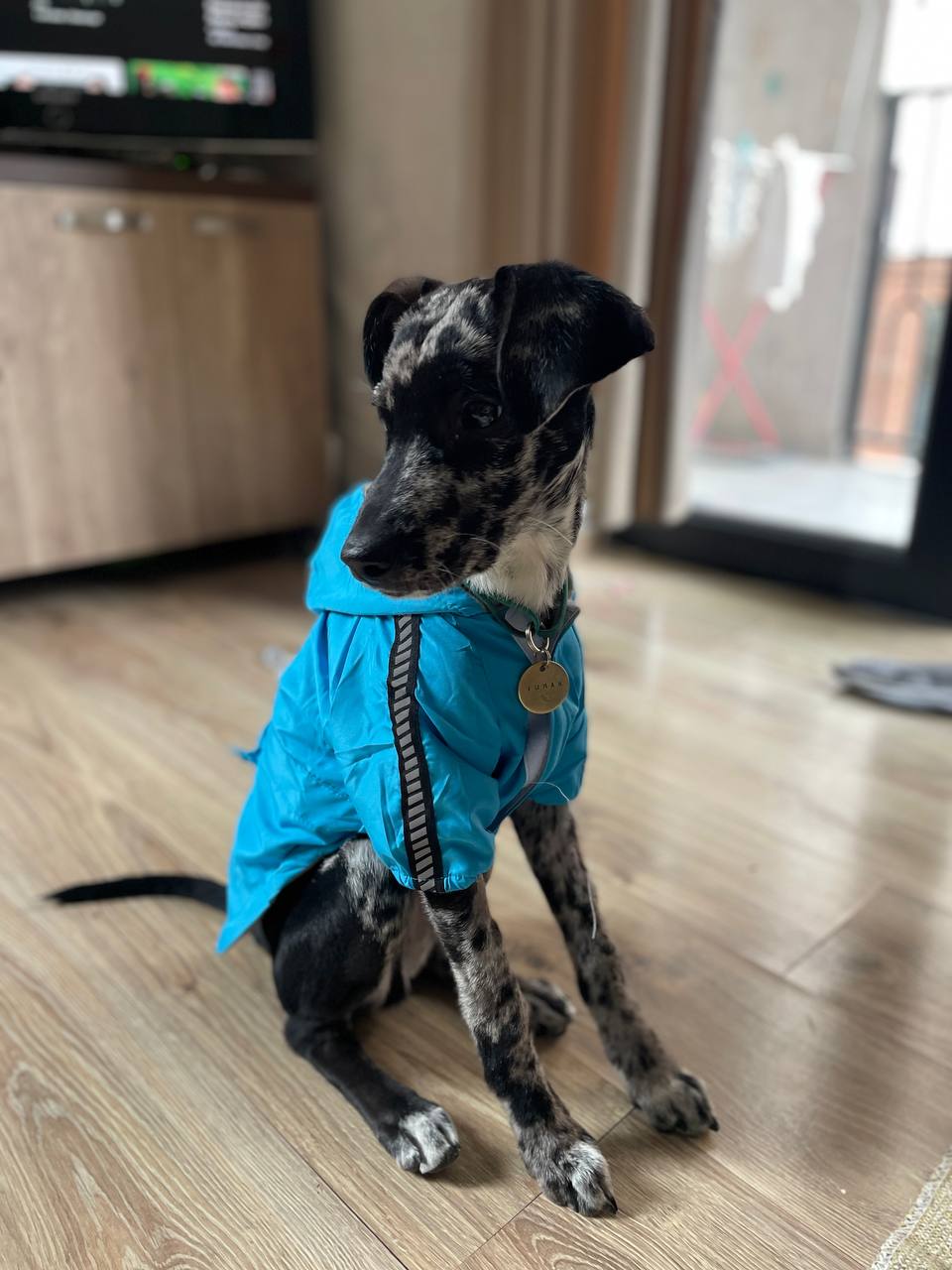 Шлейка анатомическая