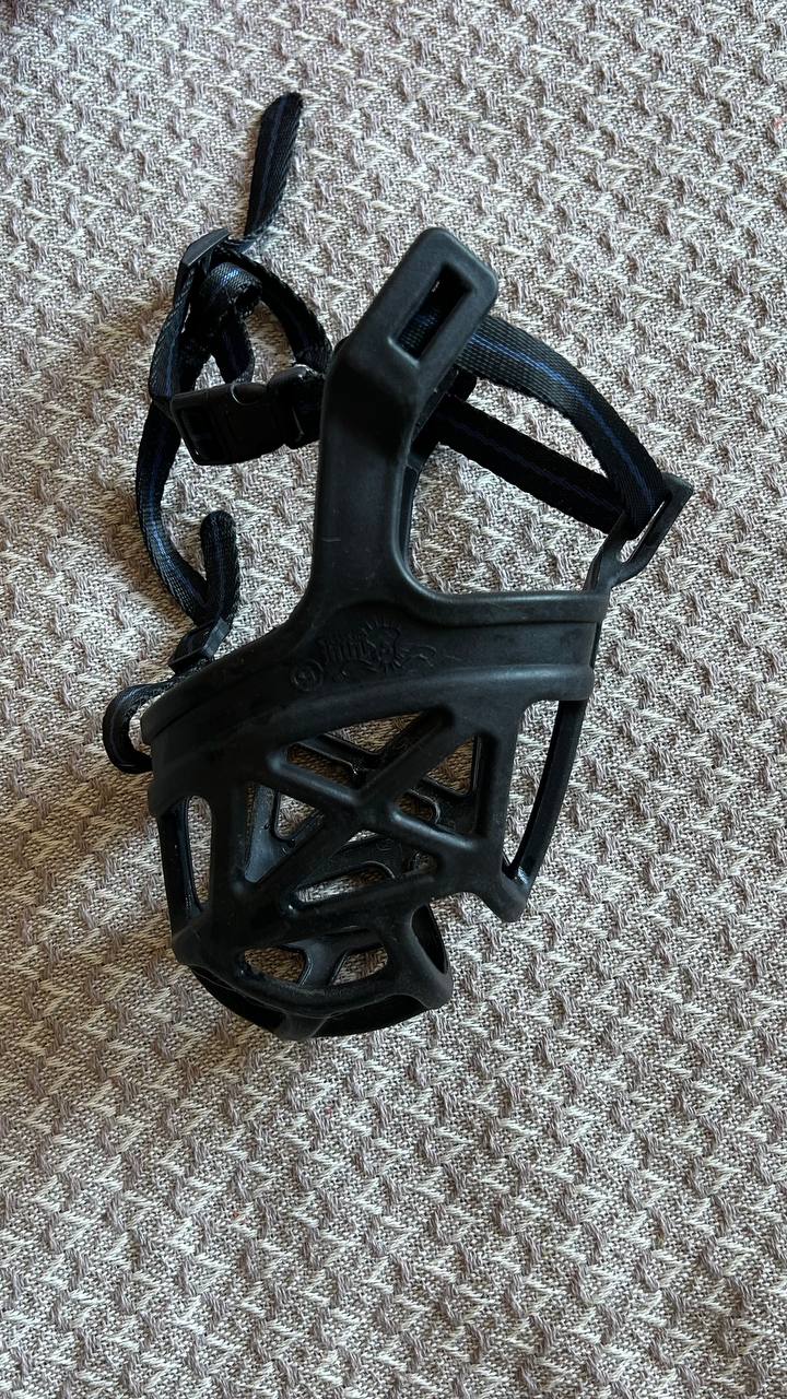 Ошейник светящийся