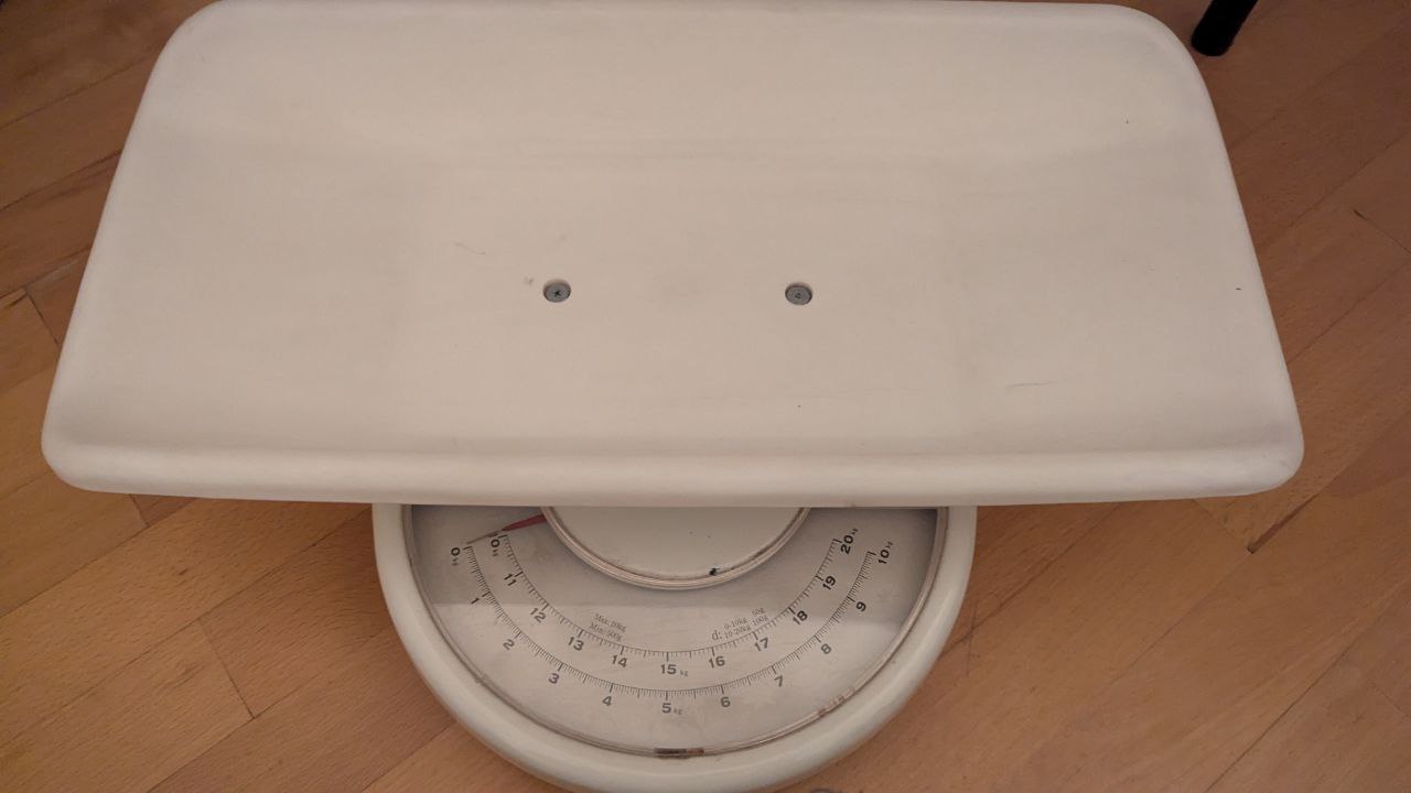 Весы для деток или питомцев