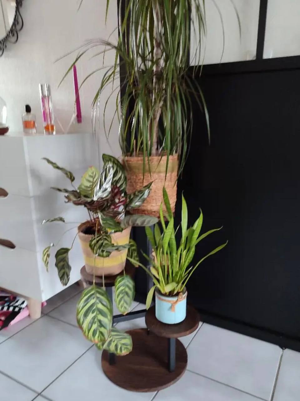 Подставка для растений