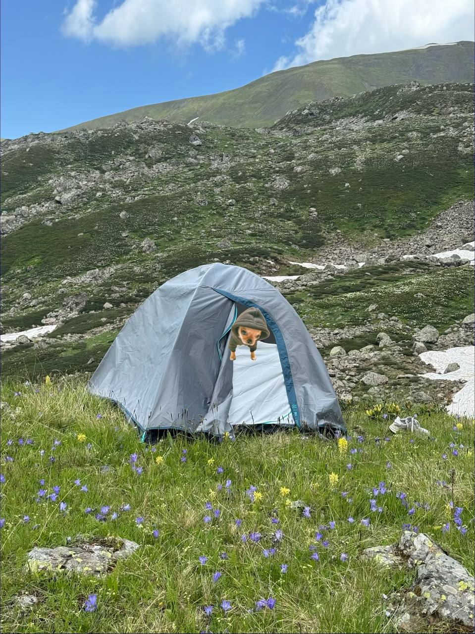 2 походные палатки Decathlon