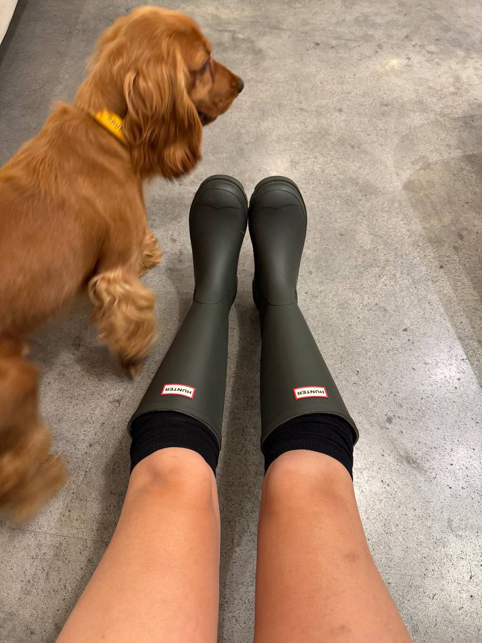 Новые зеленые хантеры