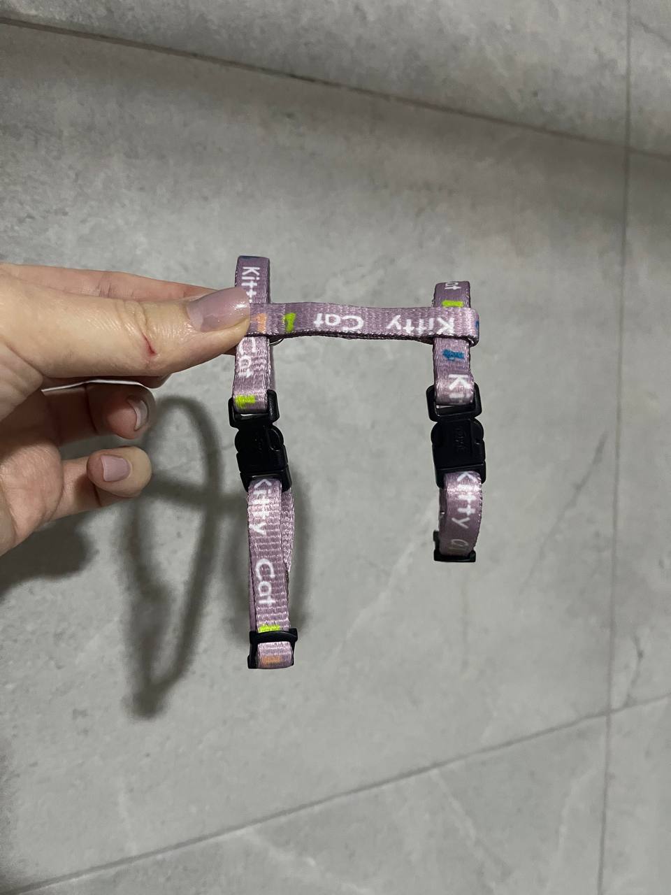 Шлейка для котенка