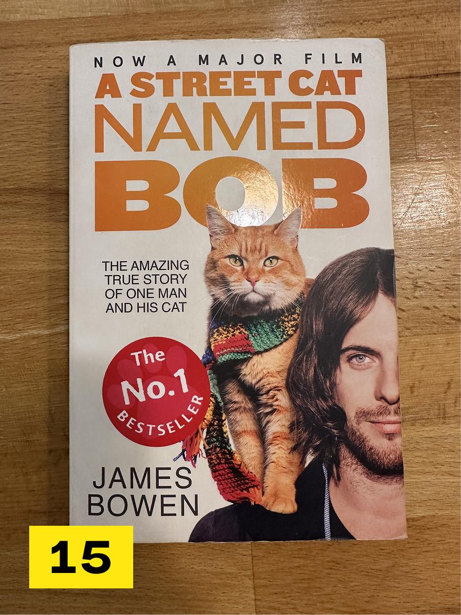Street Cat named Bob