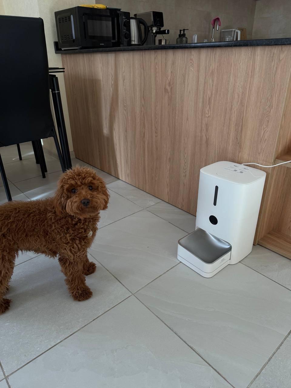 Xiaomi Smart Pet Food Feeder 2 White