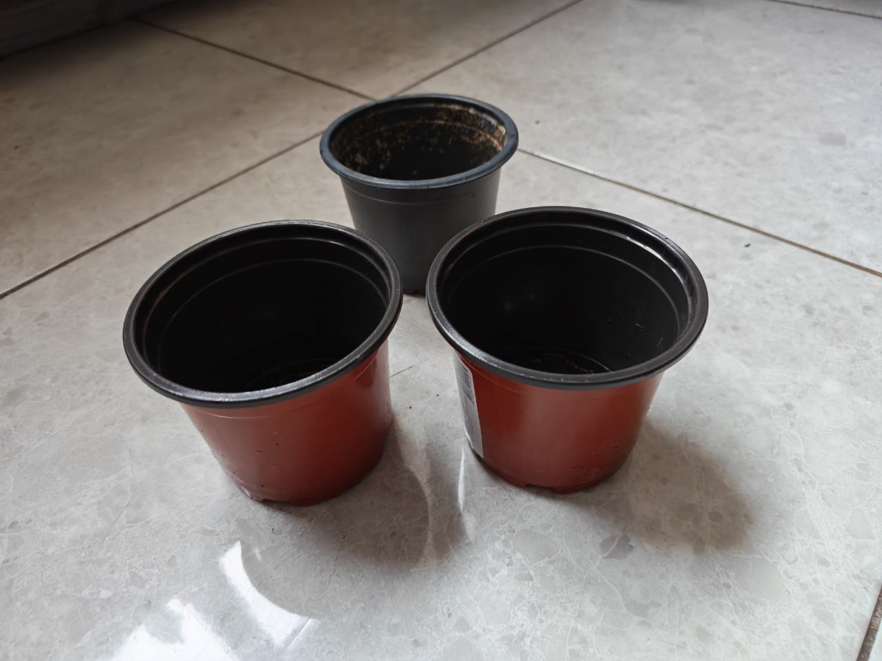 Ваза и кашпо