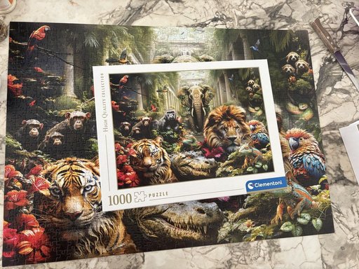 Дополнительное изображение