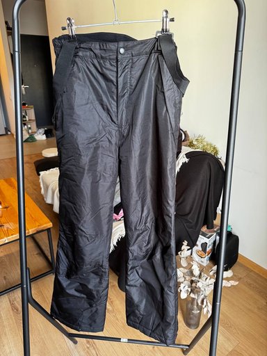 Горнолыжные штаны