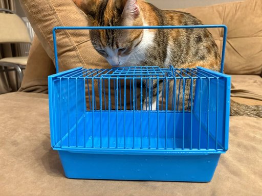 Дополнительное изображение