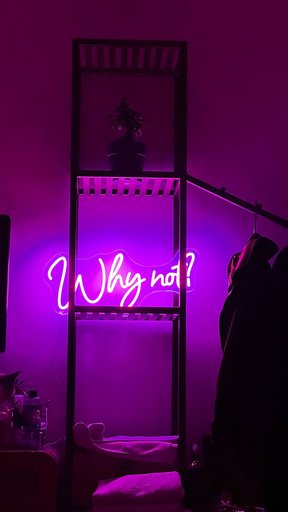 Лед надвеска с надписью «Why not?”