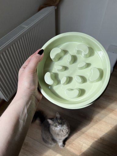 Дополнительное изображение