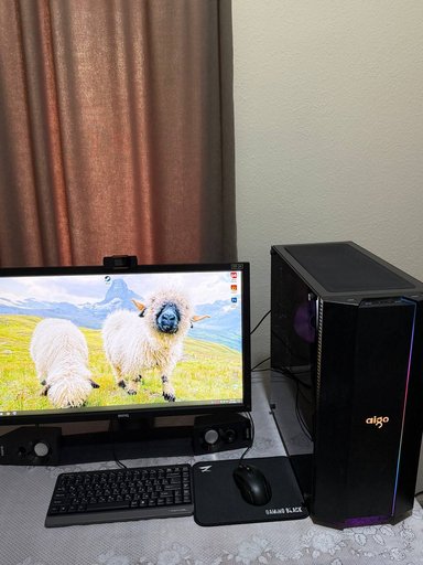 Профессиональный монитор BENQ