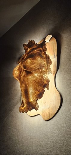 Дополнительное изображение