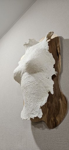 Дополнительное изображение