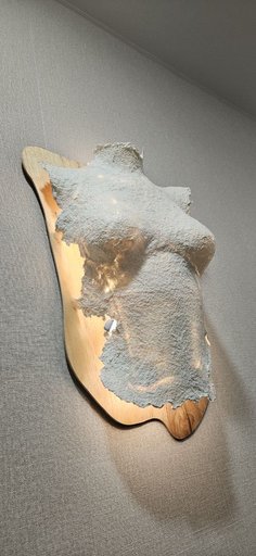 Дополнительное изображение