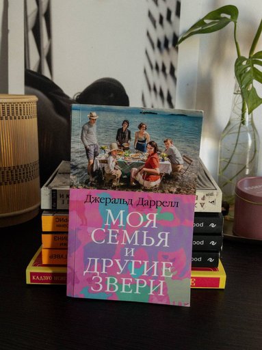 Дополнительное изображение