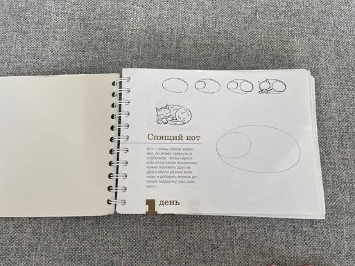 Дополнительное изображение