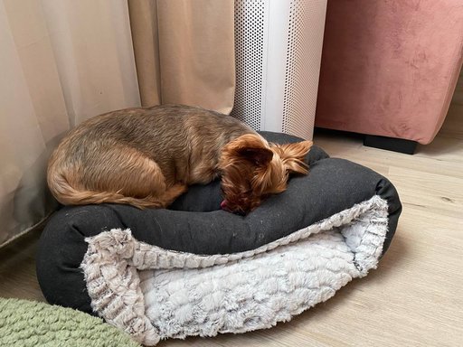 Дополнительное изображение