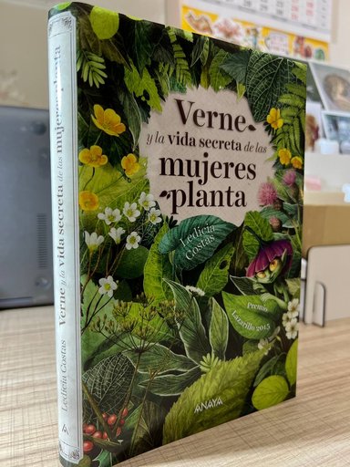 Дополнительное изображение