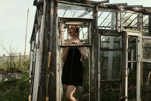 Дополнительное изображение