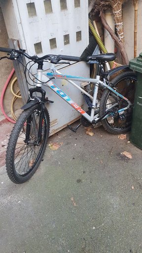 Велосипед Totem Camilla