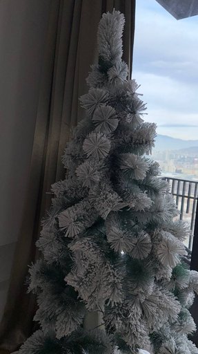 Дополнительное изображение