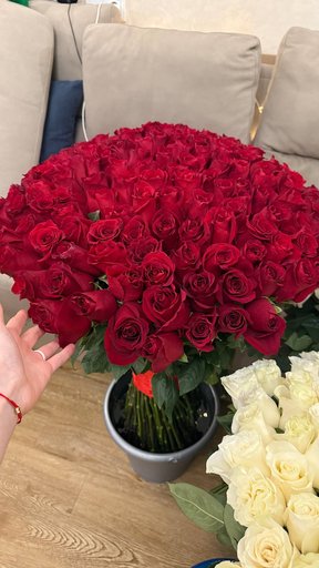 Букет свежих роз