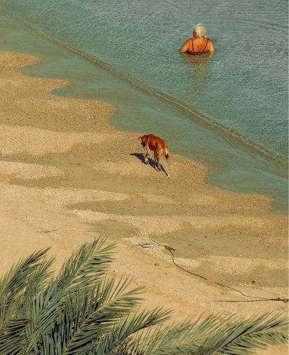 Дополнительное изображение