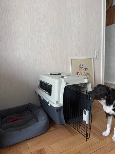 Переноска для животных