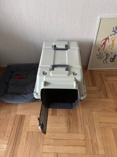 Дополнительное изображение