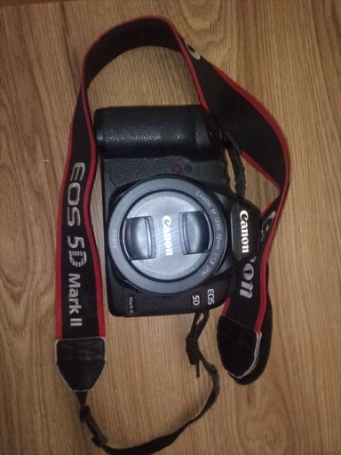 Полнокадровый профессиональный фотоаппарат Canon 5D Mark II