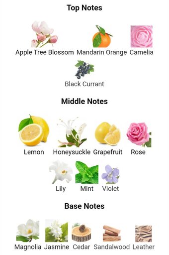 Духи Tommy Girl by Tommy Hilfiger