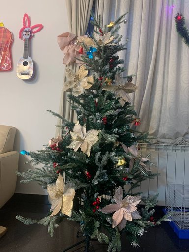 Дополнительное изображение