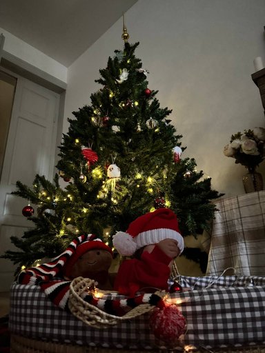 Дополнительное изображение