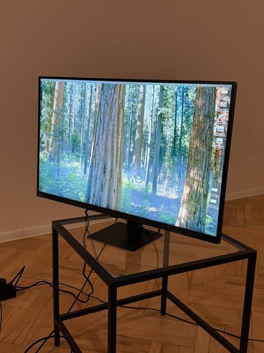 Дополнительное изображение