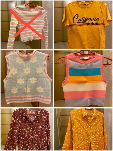 Свитера для животных xs