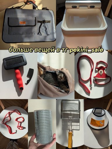 Дополнительное изображение