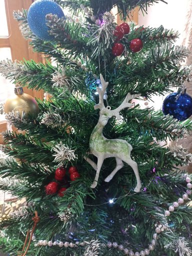 Дополнительное изображение