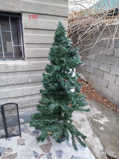 Дополнительное изображение