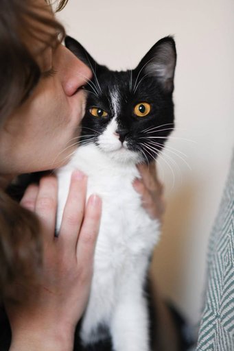 Дополнительное изображение