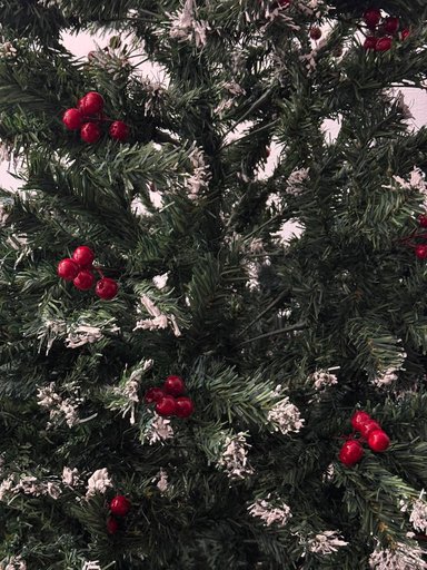 Елка, высокая, как на фото