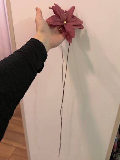 Дополнительное изображение