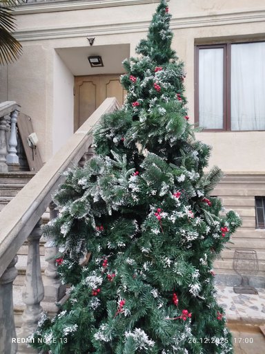 Дополнительное изображение