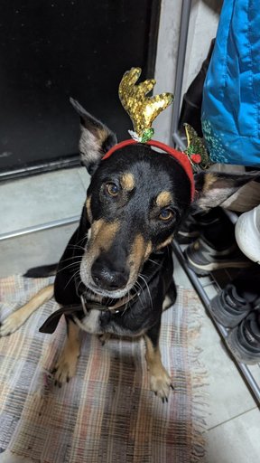 Дополнительное изображение