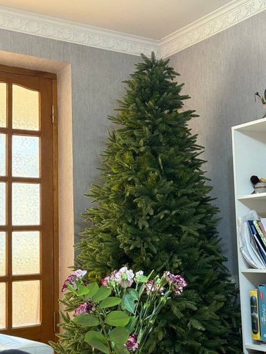 Дополнительное изображение