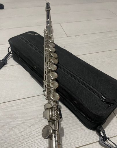 Дополнительное изображение